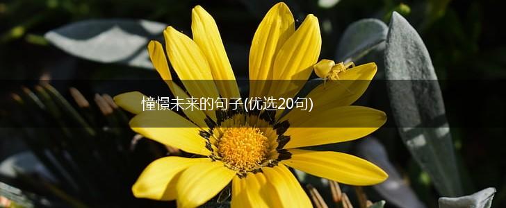 憧憬未来的句子(优选20句),第1张