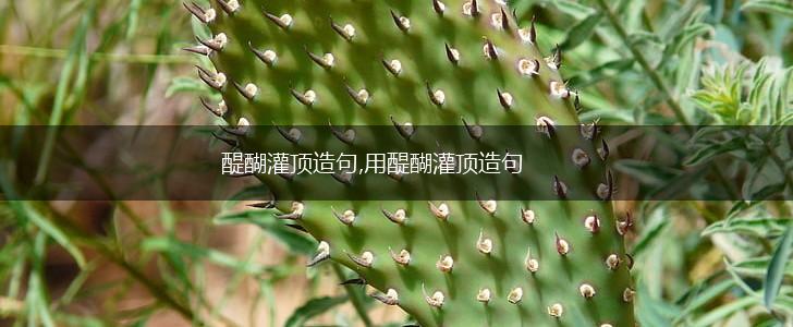 醍醐灌顶造句,用醍醐灌顶造句,第1张