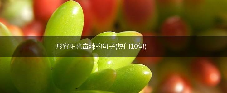 形容阳光毒辣的句子(热门10句),第1张