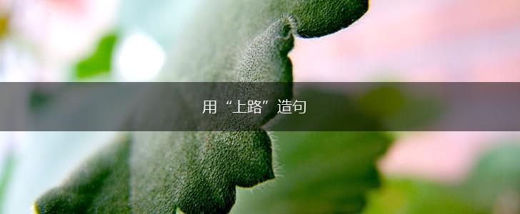 用“上路”造句,第1张