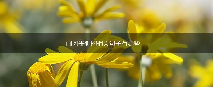 闻风丧胆的相关句子有哪些,第1张