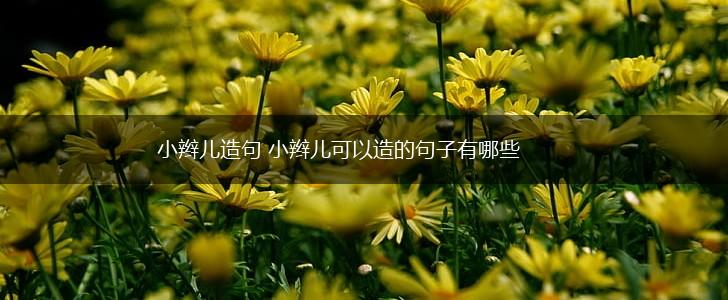 小辫儿造句 小辫儿可以造的句子有哪些,第1张