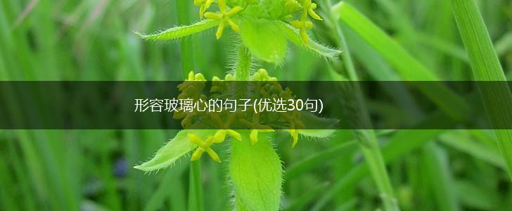 形容玻璃心的句子(优选30句),第1张