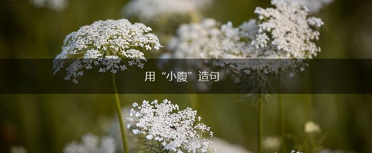 用“小腹”造句,第1张