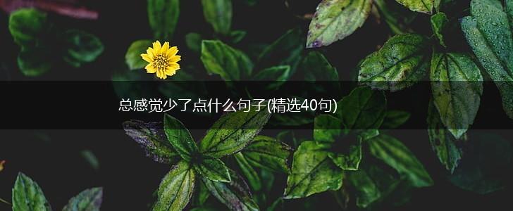 总感觉少了点什么句子(精选40句),第1张