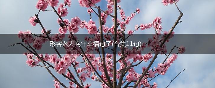 形容老人晚年幸福句子(合集11句),第1张