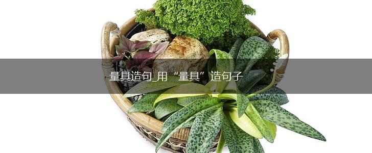 量具造句_用“量具”造句子,第1张