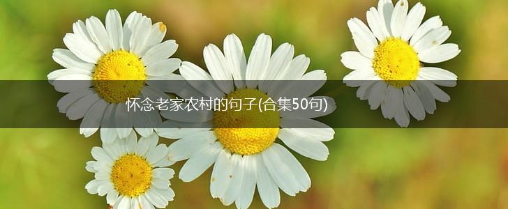 怀念老家农村的句子(合集50句),第1张