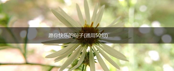 愿你快乐的句子(通用50句),第1张