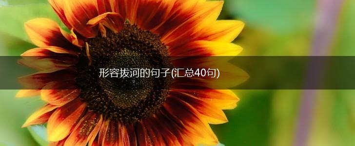 形容拔河的句子(汇总40句),第1张