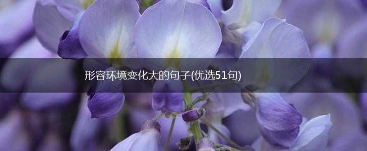 形容环境变化大的句子(优选51句),第1张