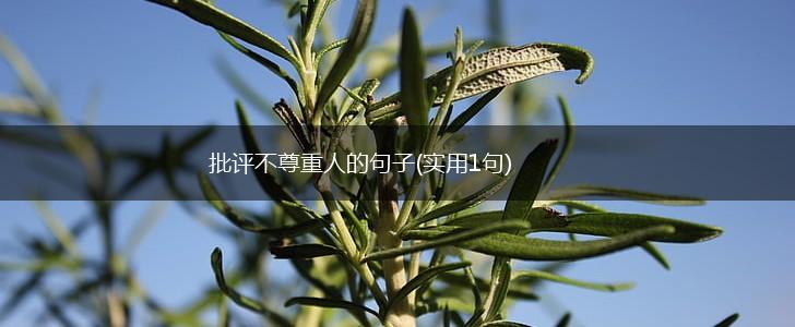 批评不尊重人的句子(实用1句),第1张