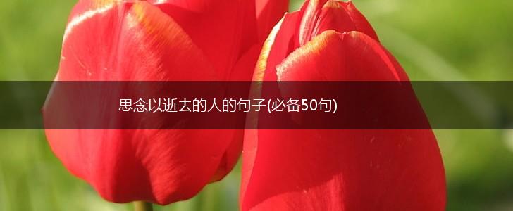 思念以逝去的人的句子(必备50句),第1张
