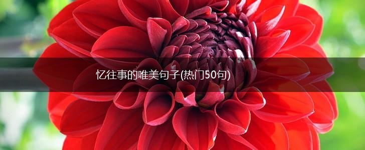 忆往事的唯美句子(热门50句),第1张