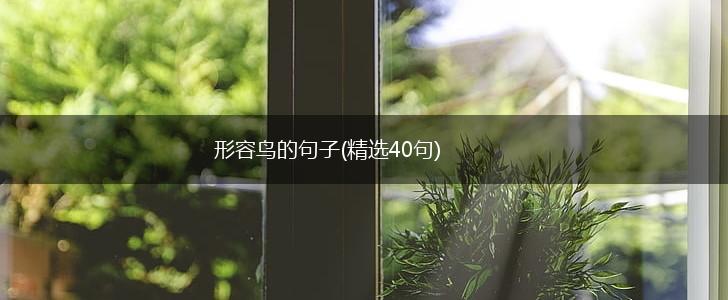 形容鸟的句子(精选40句),第1张