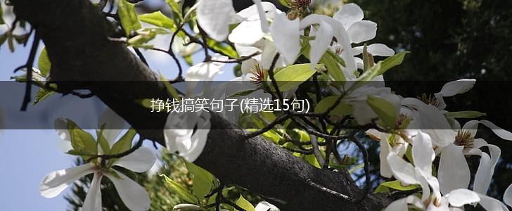 挣钱搞笑句子(精选15句),第1张