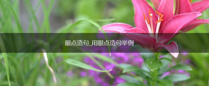 眼点造句_用眼点造句举例,第1张