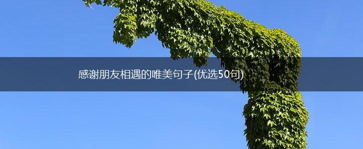 感谢朋友相遇的唯美句子(优选50句),第1张