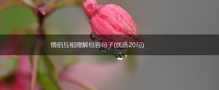 情侣互相理解包容句子(优选20句),第1张