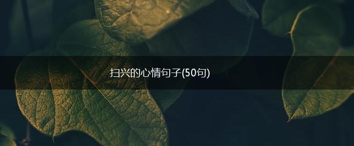 扫兴的心情句子(50句),第1张