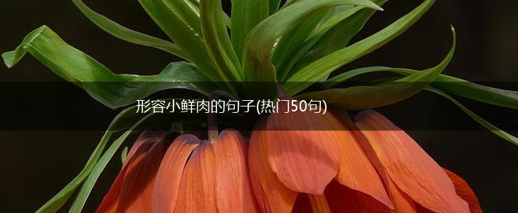 形容小鲜肉的句子(热门50句),第1张