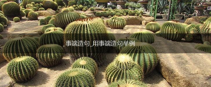 事端造句_用事端造句举例,第1张