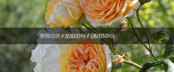 形容讨厌大姑姐的句子(通用50句),第1张