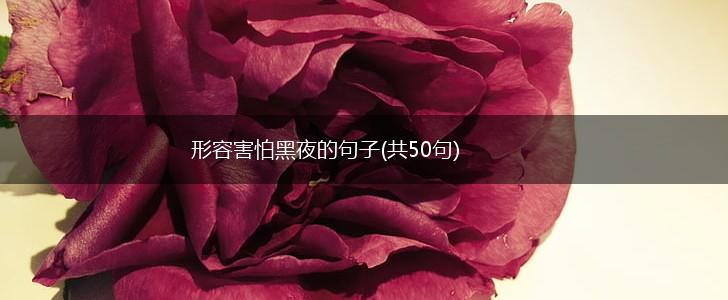 形容害怕黑夜的句子(共50句),第1张