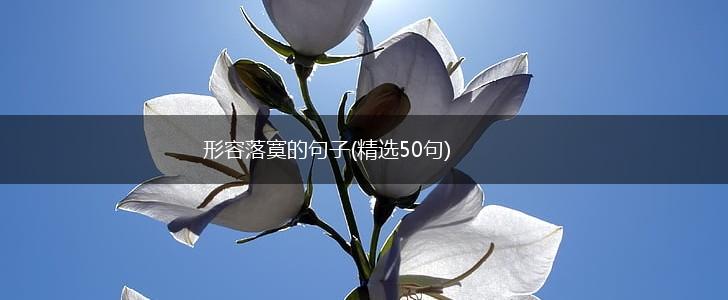 形容落寞的句子(精选50句),第1张