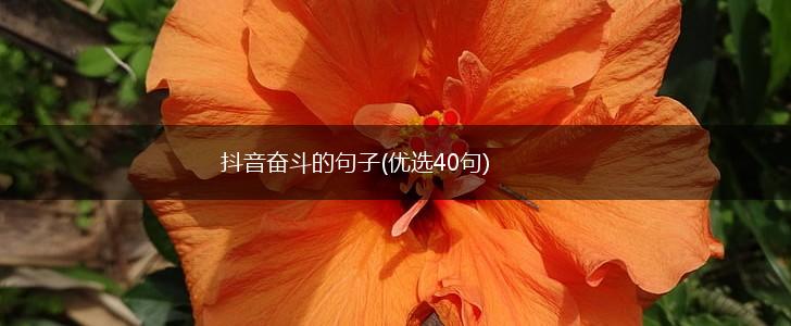 抖音奋斗的句子(优选40句),第1张