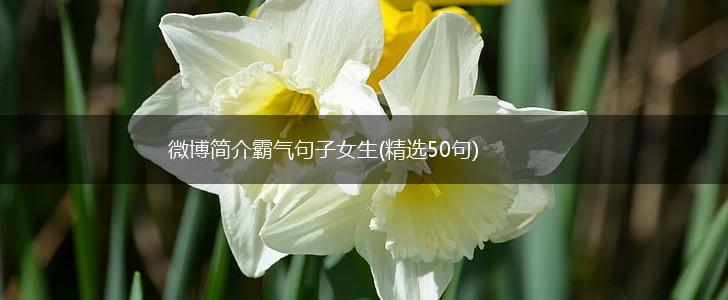 微博简介霸气句子女生(精选50句),第1张