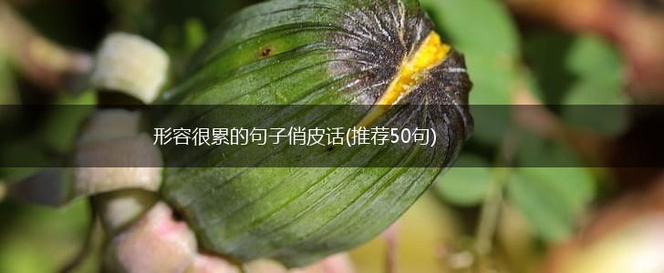 形容很累的句子俏皮话(推荐50句),第1张