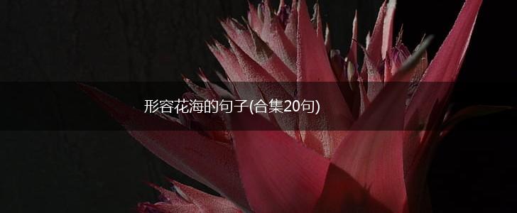 形容花海的句子(合集20句),第1张