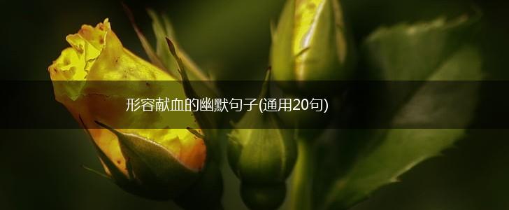 形容献血的幽默句子(通用20句),第1张