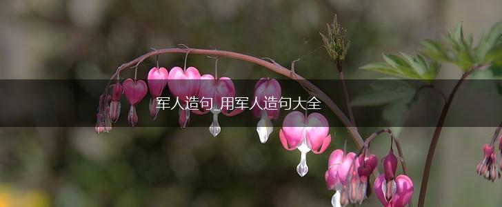军人造句_用军人造句大全,第1张