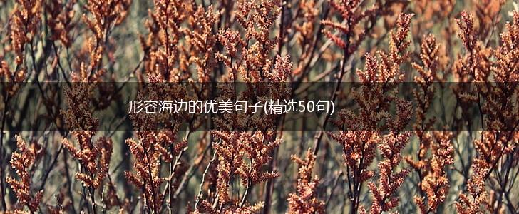 形容海边的优美句子(精选50句),第1张