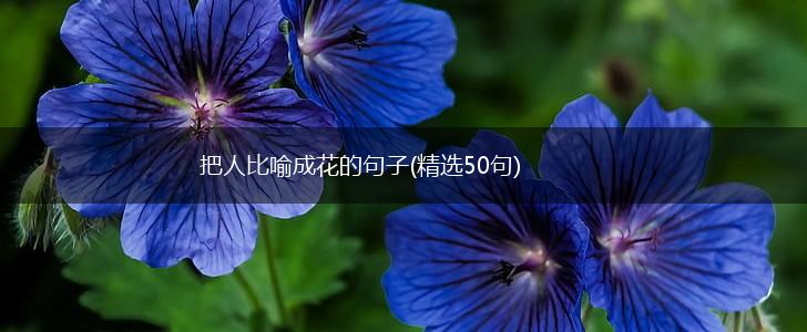 把人比喻成花的句子(精选50句),第1张