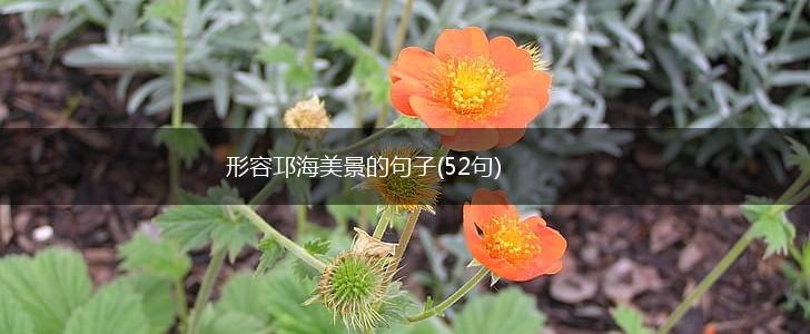 形容邛海美景的句子(52句),第1张