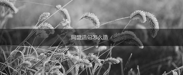 同盟造句怎么造,第1张