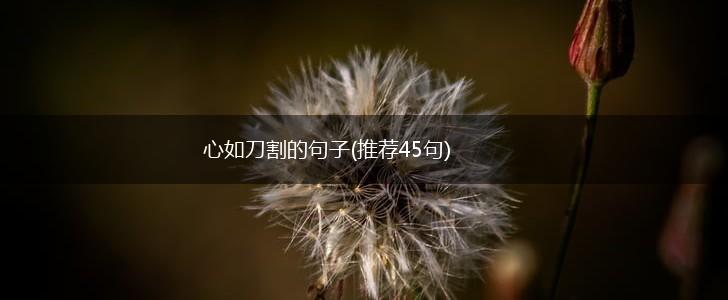 心如刀割的句子(推荐45句),第1张