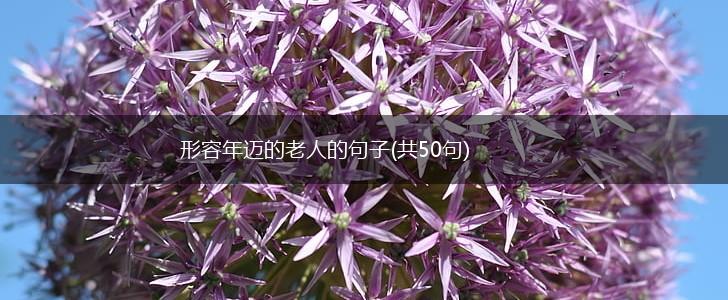 形容年迈的老人的句子(共50句),第1张