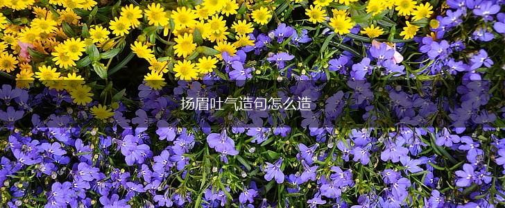 扬眉吐气造句怎么造,第1张