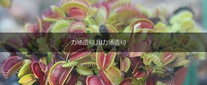 力场造句,用力场造句,第1张