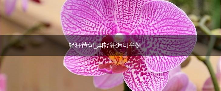 轻狂造句_用轻狂造句举例,第1张