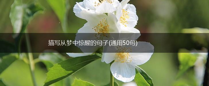 描写从梦中惊醒的句子(通用50句),第1张