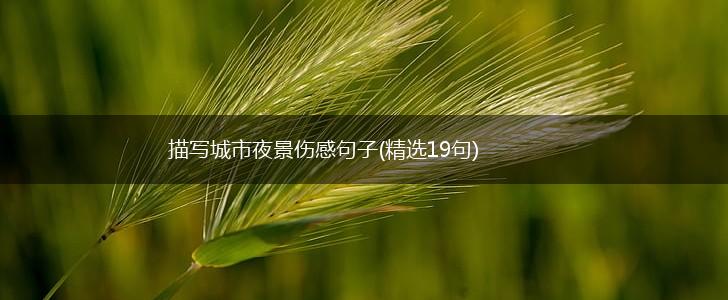 描写城市夜景伤感句子(精选19句),第1张