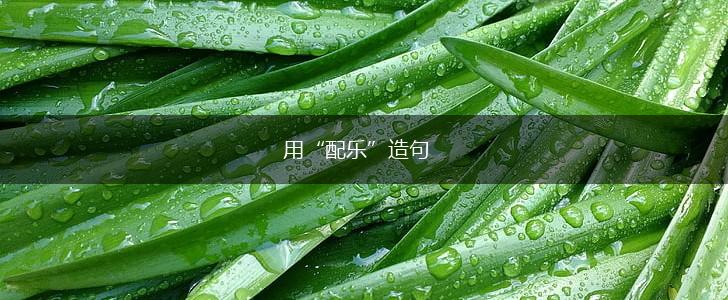 用“配乐”造句,第1张