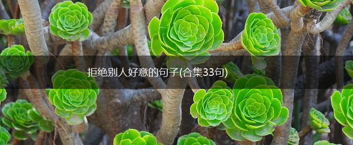 拒绝别人好意的句子(合集33句),第1张