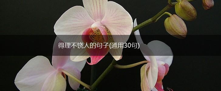 得理不饶人的句子(通用30句),第1张