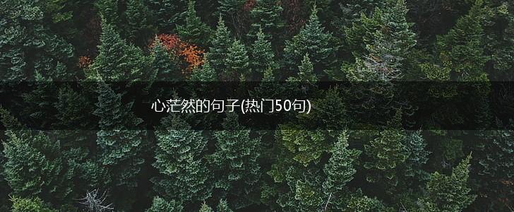 心茫然的句子(热门50句),第1张